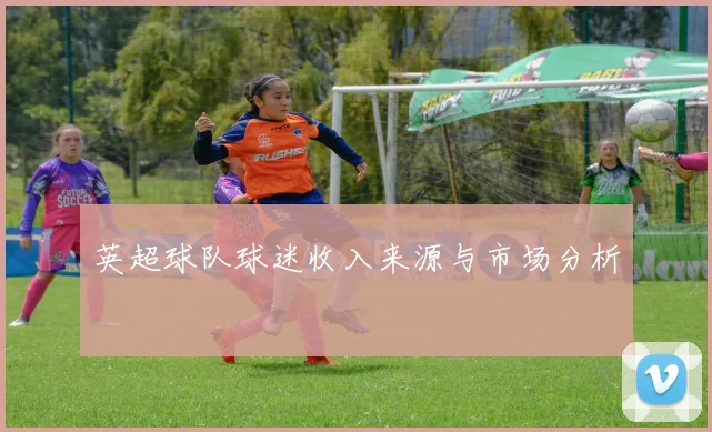 英超球队球迷收入来源与市场分析