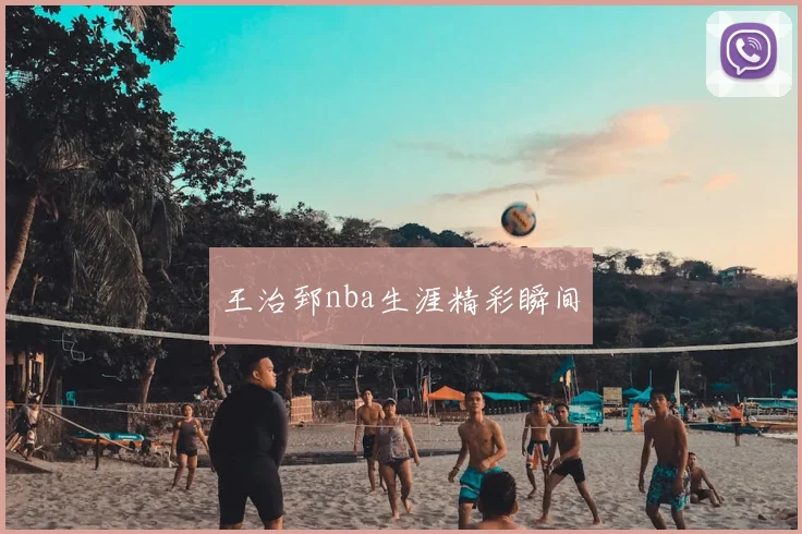 王治郅nba生涯精彩瞬间
