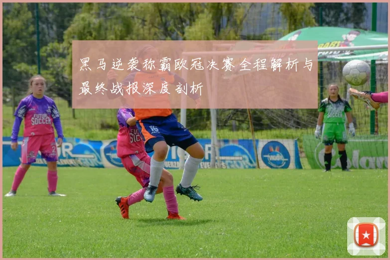 黑马逆袭称霸欧冠决赛全程解析与最终战报深度剖析