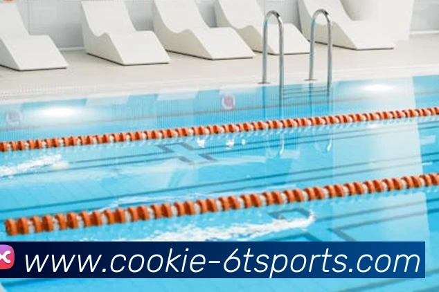 6T体育发展历程